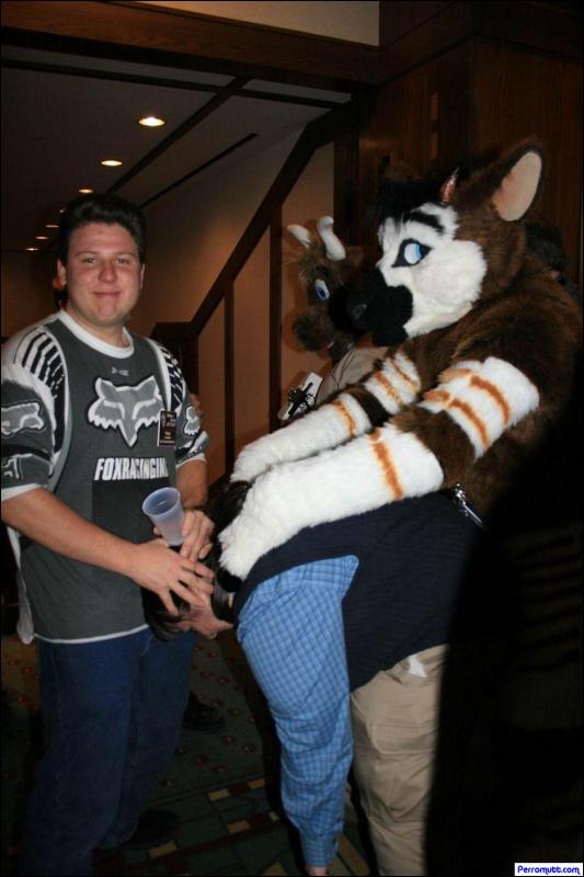 [Perro_MFF2007_155.jpg]