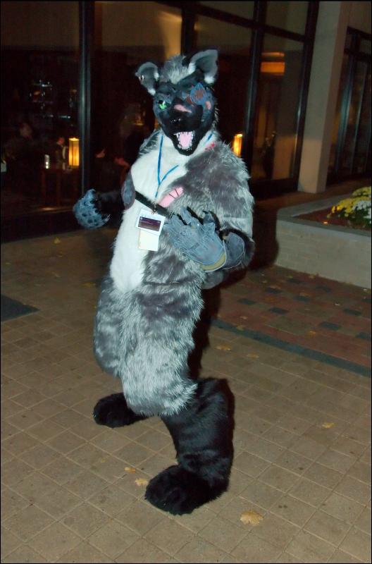 [RyuRaccoon_MFF2007_027.jpg]