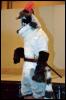 [RyuRaccoon MFF2007 074]