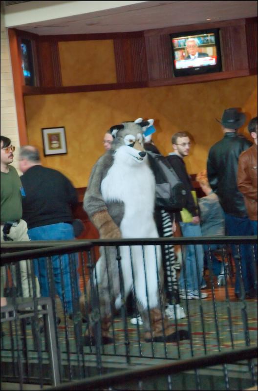 [RyuRaccoon_MFF2007_088.jpg]