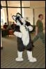 [RyuRaccoon MFF2007 096]