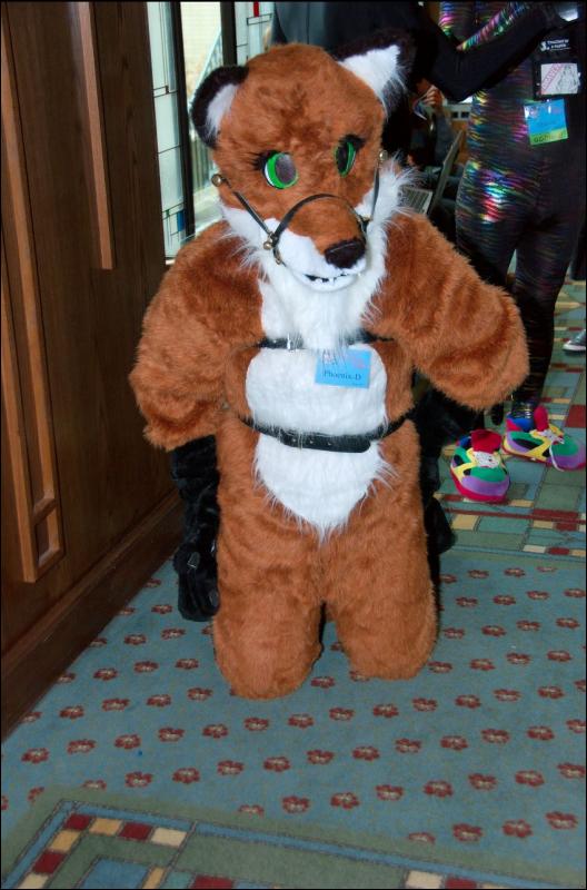 [RyuRaccoon_MFF2007_128.jpg]