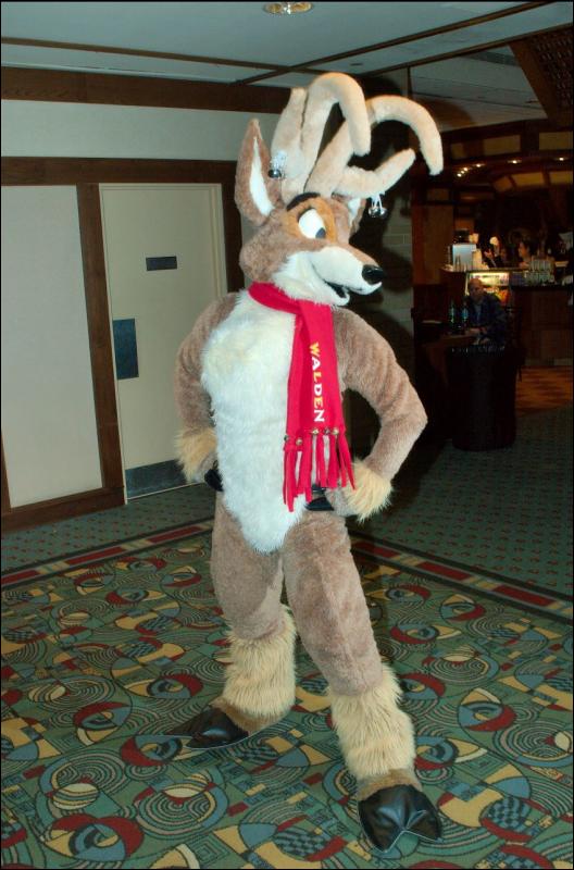 [RyuRaccoon_MFF2007_171.jpg]