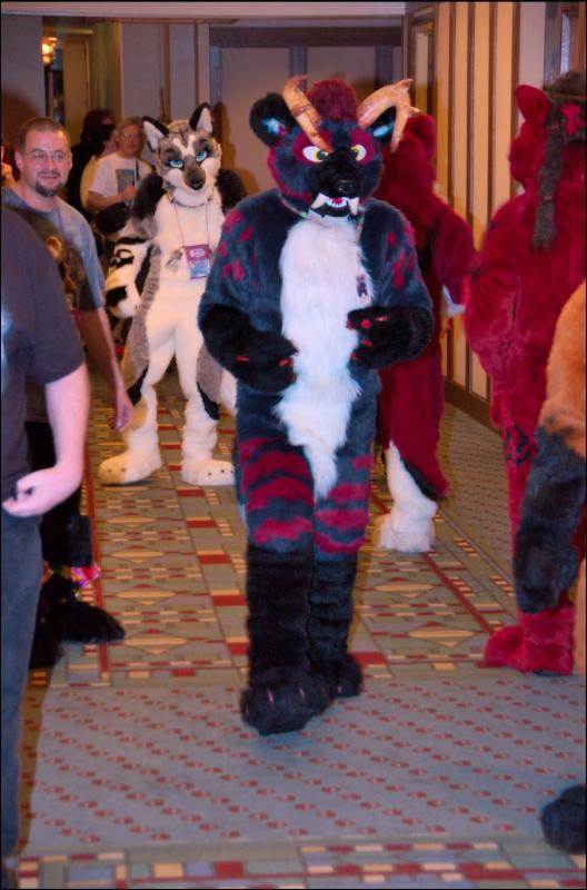 [RyuRaccoon_MFF2007_201.jpg]