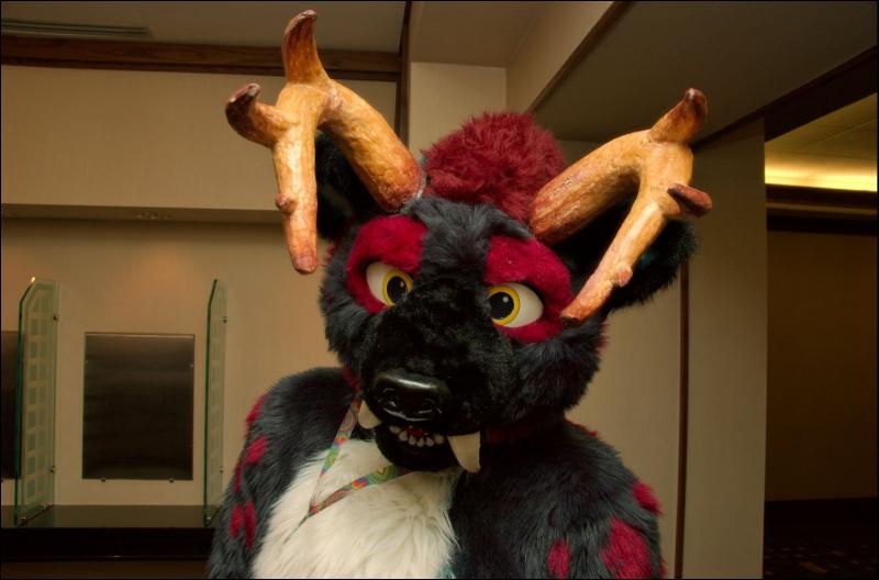 [RyuRaccoon_MFF2007_213.jpg]