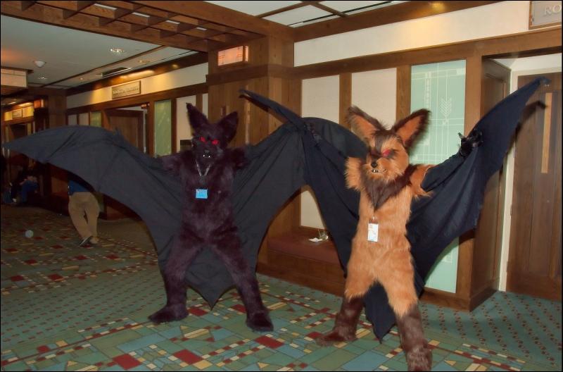 [RyuRaccoon_MFF2007_223.jpg]