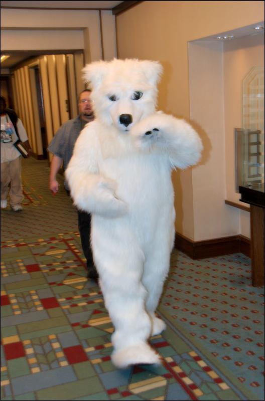 [RyuRaccoon_MFF2007_229.jpg]