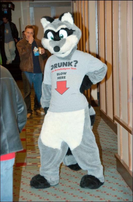 [RyuRaccoon_MFF2007_232.jpg]