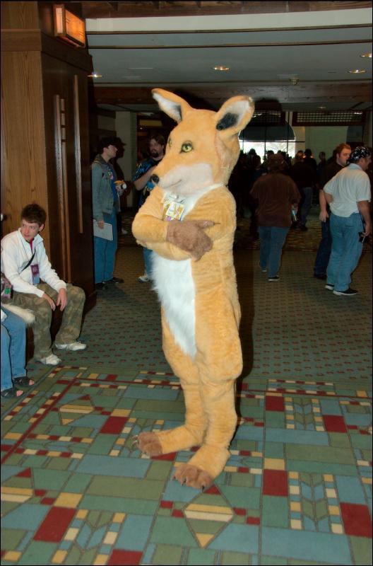 [RyuRaccoon_MFF2007_374.jpg]
