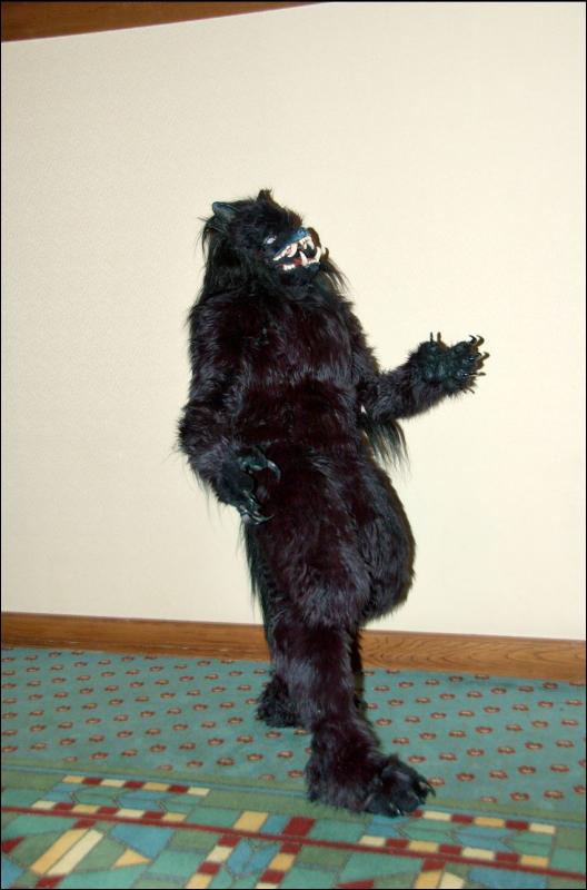 [RyuRaccoon_MFF2007_390.jpg]
