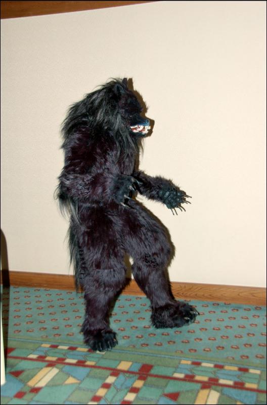[RyuRaccoon_MFF2007_392.jpg]