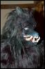 [RyuRaccoon MFF2007 412]