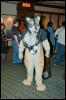 [RyuRaccoon MFF2007 421]
