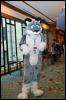 [RyuRaccoon MFF2007 447]