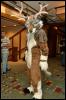 [RyuRaccoon MFF2007 455]
