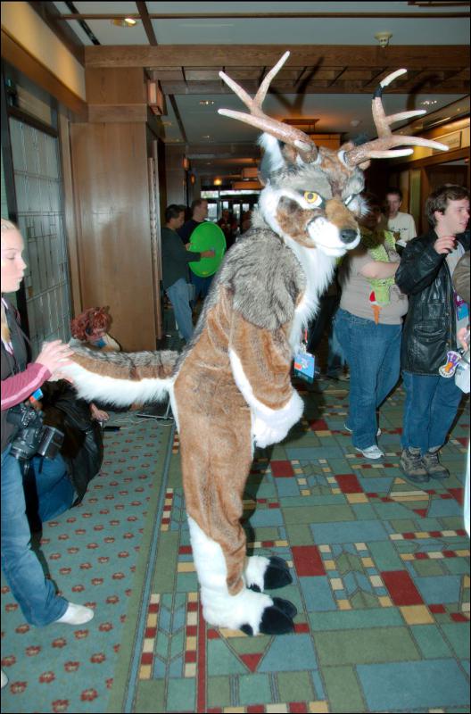 [RyuRaccoon_MFF2007_457.jpg]