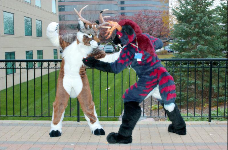 [RyuRaccoon_MFF2007_464.jpg]