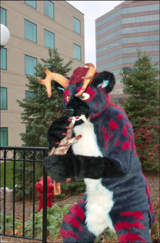 [RyuRaccoon_MFF2007_505.jpg]
