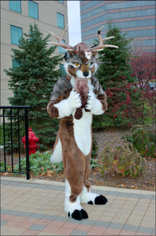 [RyuRaccoon_MFF2007_509.jpg]