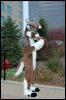 [RyuRaccoon MFF2007 512]
