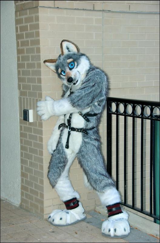[RyuRaccoon_MFF2007_551.jpg]