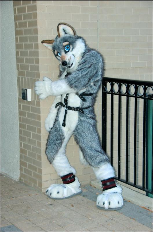 [RyuRaccoon_MFF2007_552.jpg]