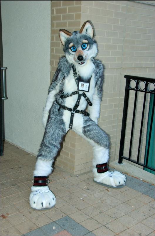 [RyuRaccoon_MFF2007_554.jpg]