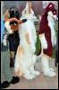 [RyuRaccoon MFF2007 591]