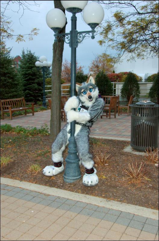 [RyuRaccoon_MFF2007_618.jpg]