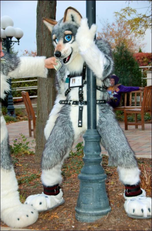 [RyuRaccoon_MFF2007_622.jpg]