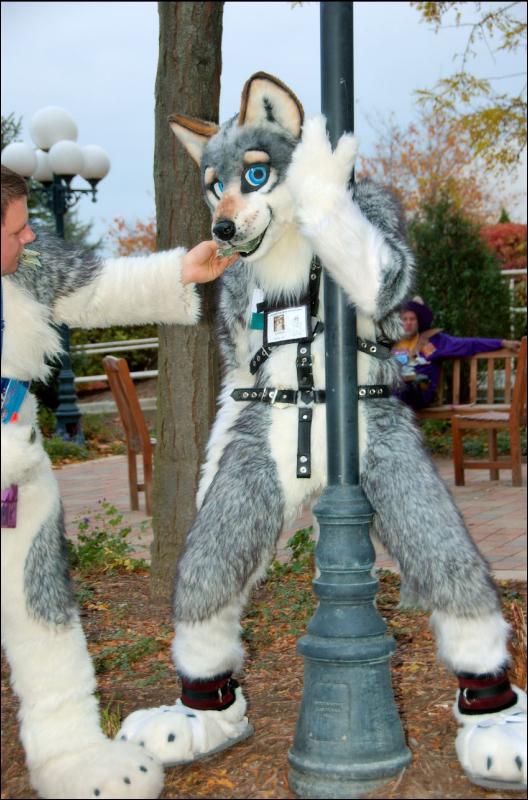 [RyuRaccoon_MFF2007_623.jpg]