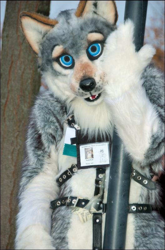 [RyuRaccoon_MFF2007_628.jpg]