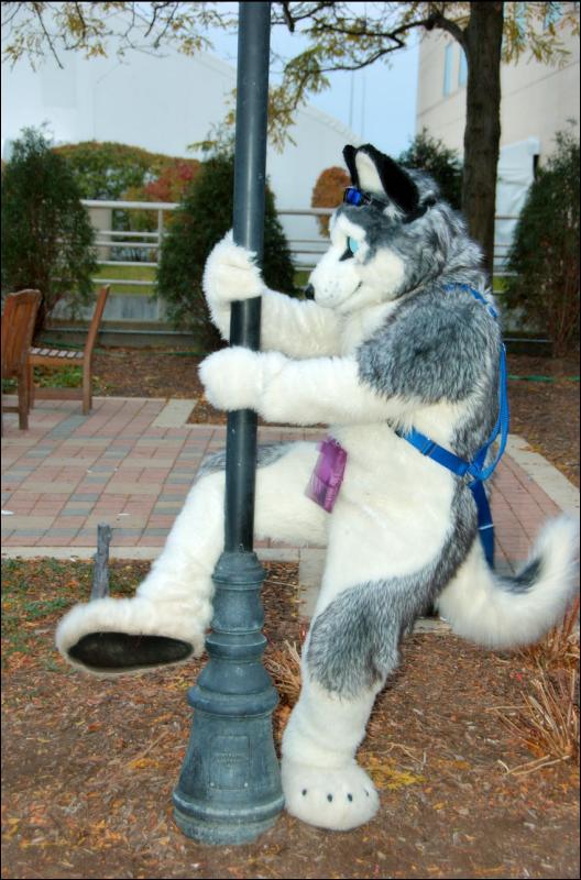 [RyuRaccoon_MFF2007_639.jpg]