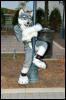 [RyuRaccoon MFF2007 641]