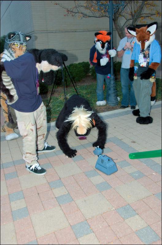 [RyuRaccoon_MFF2007_653.jpg]