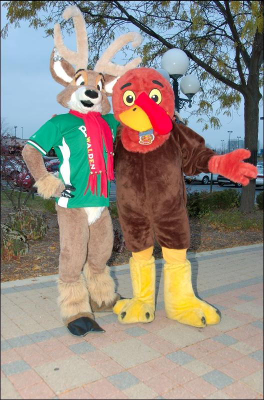[RyuRaccoon_MFF2007_677.jpg]
