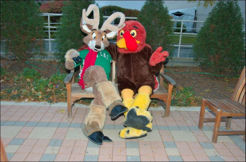 [RyuRaccoon_MFF2007_690.jpg]
