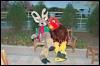 [RyuRaccoon MFF2007 693]
