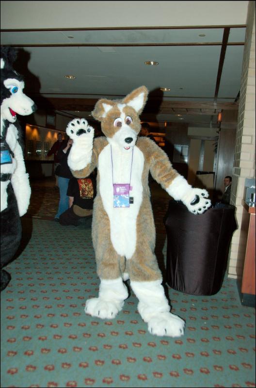 [RyuRaccoon_MFF2007_762.jpg]
