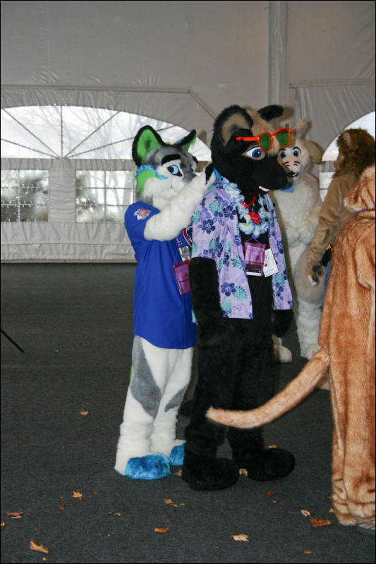 [Armadillos_MFF2007_085.jpg]