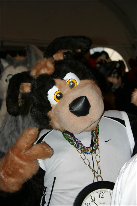 [Armadillos_MFF2007_095.jpg]