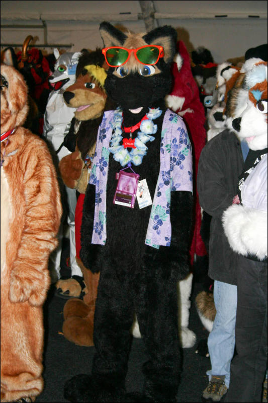 [Armadillos_MFF2007_101.jpg]
