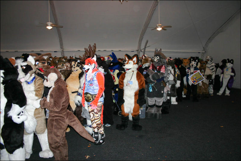 [Armadillos_MFF2007_103.jpg]