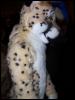 [Navajo MFF2007 225]