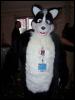 [Navajo MFF2007 265]