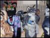 [Navajo MFF2007 284]