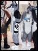 [Navajo MFF2007 292]