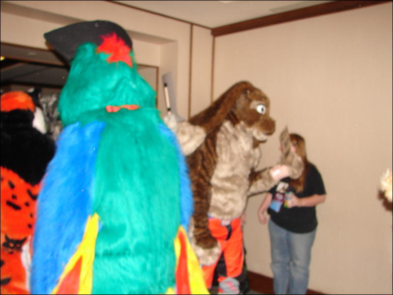 [StuntTiger_MFF07_062.jpg]
