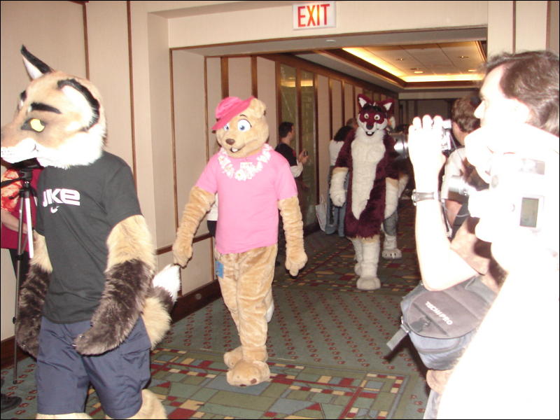[StuntTiger_MFF07_093.jpg]