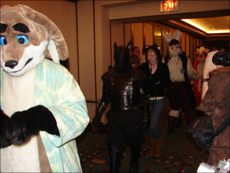 [StuntTiger_MFF07_121.jpg]